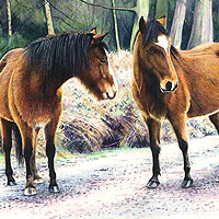 Karen Frampton, New Forest Artist, paintings, greeting cards, murals, slate, Hampshire, UK